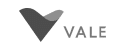 logo_vale_01